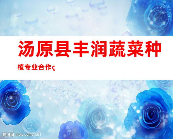 汤原县丰润蔬菜种植专业合作社